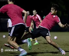 九游体育app-欧罗巴阿贾克斯与拉齐奥比分预测  第3张